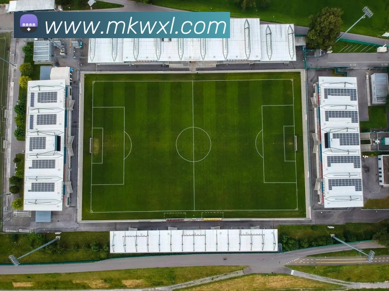 多媒体互动体验